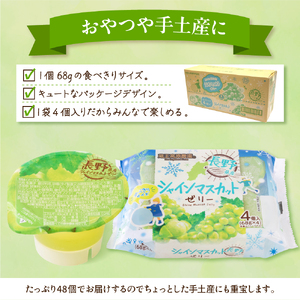 シャインマスカットゼリー1袋4個入×12袋 和歌山産業提供 hi070-007 シャインマスカット マスカット ぶどう フルーツ 果物 クダモノ くだもの ゼリー おやつ ご褒美 お弁当のお供 ご当地 グルメ お取り寄せ 送料無料 山形県 東根市 ふるさと納税 人気 長野県産