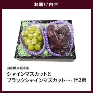 【2026年産 先行予約】山形県東根市産 シャインマスカットとブラックシャインマスカット「富士の輝」の詰め合わせ約1.2kg hi074-017 令和8年産 2026年産 ふるさと納税 フルーツ 果物 くだもの シャインマスカット ブラックシャイン 富士の輝 期間限定 冷蔵配送 先行予約 先行受付 バラ 取り寄せ グルメ ご当地 特産 産地 直送 送料無料 東北 山形 東根市 人気