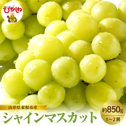 【2026年産 先行予約】山形県東根市産 シャインマスカット 約850g (1~2房) hi074-016 令和8年産 2026年産 ふるさと納税 フルーツ 果物 くだもの シャインマスカット 期間限定 冷蔵配送 先行予約 先行受付 取り寄せ グルメ ご当地 特産 産地 直送 送料無料 東北 山形 東根市 人気