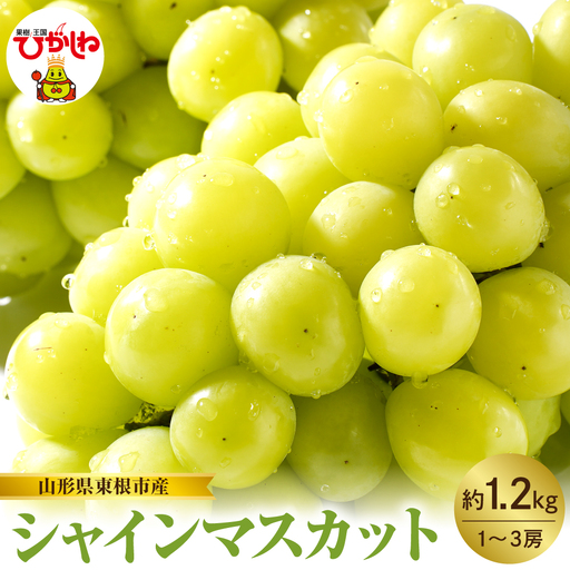 【2026年産 先行予約】山形県東根市産 シャインマスカット 約1.2kg (1~3房) hi074-013 令和8年産 2026年産 ふるさと納税 フルーツ 果物 くだもの シャインマスカット 期間限定 冷蔵配送 先行予約 先行受付 取り寄せ グルメ ご当地 特産 産地 直送 送料無料 東北 山形 東根市 人気