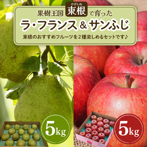 【2026年11月以降お届け】　ラ・フランス＆りんご　2回定期便 山形県 東根市　hi003-158