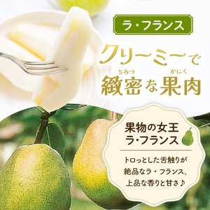 【2026年11月以降お届け】　ラ・フランス＆りんご　2回定期便 山形県 東根市　hi003-158