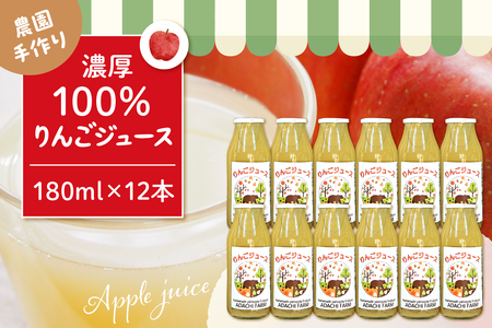 100％りんごジュース 180cc 12本セット 山形県 東根市 hi037-008 りんご ジュース 100％ 東根産 ご当地 送料無料 ふるさと納税 人気 フルーツ 果物 朝食