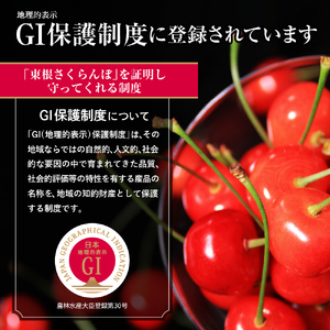 【2026年産】GI東根さくらんぼ「佐藤錦」秀品 400gバラ詰め (200g×2パック) Lサイズ以上 安達農園提供 山形県 東根市 hi037-015 （フルーツ 果物 くだもの クダモノ サクランボ 佐藤錦 2026年産 令和8年 人気 ふるさと納税 ヤマガタケン やまがたけん ヒガシネシ ひがしねし））