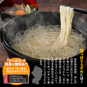 とろろ入りひっぱりうどん 10袋入 みうら食品 山形県 東根市 hi046-009 麺 麺類 うどん ひっぱりうどん 名物 伝統料理 伝統 郷土料理 大量 さば 納豆 好み ご褒美 昼飯 昼ごはん 無料配送 東根市 人気 ふるさと納税