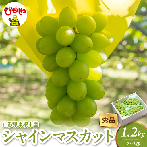 2026年産 シャインマスカット 1.2kg(2-3房) 秀品 山形県 東根市 hi082-058 山形県 ヤマガタケン やまがたけん 東根市 ヒガシネシ ひがしねし フルーツ 果物 くだもの クダモノ シャインマスカット 2026年産 令和8年 先行予約 人気 ふるさと納税