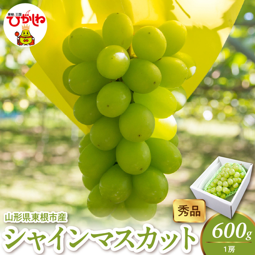2026年産 シャインマスカット 600g(1房） 秀品 山形県 東根市　hi082-057 山形県 ヤマガタケン やまがたけん 東根市 ヒガシネシ ひがしねし フルーツ 果物 くだもの クダモノ シャインマスカット 2026年産 令和8年 先行予約 人気 ふるさと納税