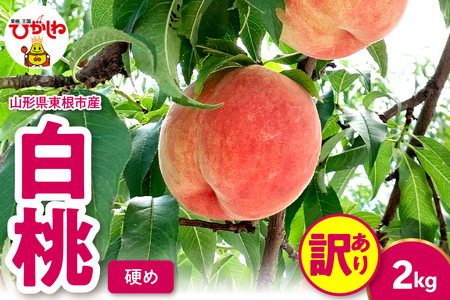 2026年産 【訳あり】白桃（硬め） 2kg 山形県 東根市 hi082-056 訳あり 山形県 ヤマガタケン やまがたけん 東根市 ヒガシネシ ひがしねし フルーツ 果物 くだもの クダモノ もも 桃 白桃 ピーチ 品種お任せ 硬め 2026年産 令和8年 先行予約 人気 ふるさと納税