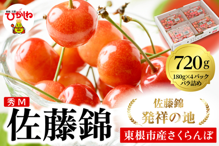 2026年 東根産さくらんぼ「佐藤錦」720g (180g×4ﾊﾟｯｸ) 秀品 Mサイズ 東根農産センター提供 山形県 東根市 hi027-216（山形県 東根市 東北 果物 フルーツ くだもの さくらんぼ 露地 佐藤錦 期間限定 冷蔵配送 先行受付 令和8年産 取り寄せ グルメ ご当地 特産直送 送料無料 ふるさと納税）