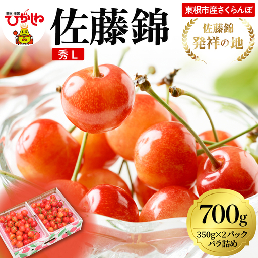 2026年 東根産さくらんぼ「佐藤錦」700gバラ詰め(350g×2ﾊﾟｯｸ) 秀品 Lサイズ 東根農産センター提供 山形県 東根市 hi027-218　（山形県 東根市 果物 フルーツ サクランボ さくらんぼ 佐藤錦 くだもの 箱入り バラ詰め 期間限定 冷蔵配送 先行予約 令和8年産 取り寄せ グルメ ご当地 特産直送 送料無料 ふるさと納税）