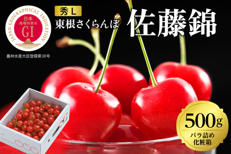 2026年 GI東根さくらんぼ「佐藤錦」500gバラ詰め 秀品 Lサイズ 東根農産センター提供 山形県 東根市 hi027-220　東北 果物 フルーツ くだもの さくらんぼ 露地 佐藤錦 期間限定 冷蔵配送 先行受付 令和8年産 取り寄せ グルメ ご当地 特産直送 送料無料 ふるさと納税