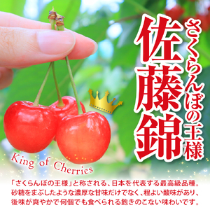 2026年産 さくらんぼ「佐藤錦」ご家庭用 秀品 Mサイズ以上　(180g×4ﾊﾟｯｸ) 山形県 東根市 フルーツピッカー提供 hi097-013 サクランボ フルーツ 果物 くだもの 小分け 特産 産地直送 送料無料 お取り寄せ 期間限定 冷蔵配送 山形県 東根市