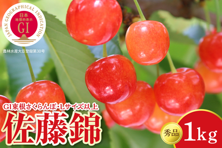 2026年産 GI東根さくらんぼ「佐藤錦」 秀品 Lサイズ以上 1kgバラ詰め（500g×2パック） 山形県 東根市 フルーツピッカー提供 hi097-014（山形県 ヤマガタケン やまがたけん 東根市 ヒガシネシ ひがしねし フルーツ 果物 くだもの クダモノ さくらんぼ サクランボ 佐藤錦 2026年産 令和8年 先行予約 人気 ふるさと納税） 6,840円