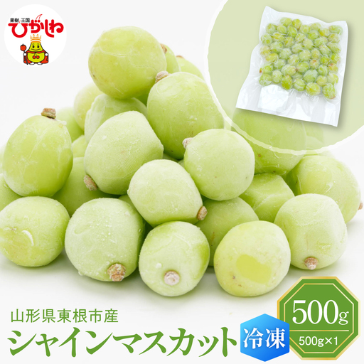 【急速冷凍】東根市産 シャインマスカット 500g 東根農産センター提供 hi027-246 山形県 東根市 果樹王国 フルーツ 果物 ぶどう シャインマスカット 500グラム 冷凍果物 お取り寄せ グルメ 送料無料 ふるさと納税