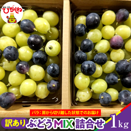 【2026年産】ぶどうMIX詰め合わせ 訳ありバラ 約1kg 山形県 東根市 松栗提供 hi062-067　（山形県 東根市 東北 果物 フルーツ くだもの ぶどう シャインマスカット シャイン 期間限定 冷蔵配送 先行受付 令和8年産 取り寄せ グルメ ご当地 特産直送 送料無料 ふるさと納税）