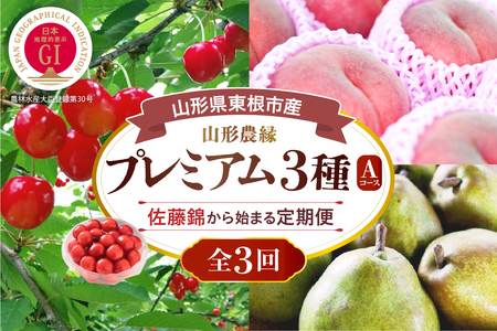 【2026年 3回定期便】山形農縁プレミアム3種A ~さくらんぼ佐藤錦から始まる~ 千笑花夢提供 山形県 東根市 hi082-065a サクランボ さくらんぼ 佐藤錦 フルーツ 果物 くだもの クダモノ もも 桃 白桃 ピーチ 品種お任せ ラフランス 梨 西洋梨 洋ナシ 定期便 2026年産 令和8年 セット コース