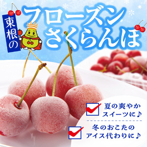 フローズンさくらんぼ「大将錦」200g入 有限会社佐藤錦提供 山形県 東根市 hi004-hi029-016r