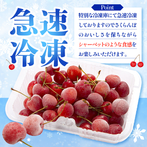 フローズンさくらんぼ「大将錦」200g入 有限会社佐藤錦提供 山形県 東根市 hi004-hi029-016r