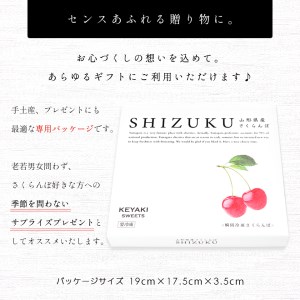 山形県産 瞬間冷凍さくらんぼ Shizuku A 0776 山形県東根市 ふるさと納税サイト ふるなび