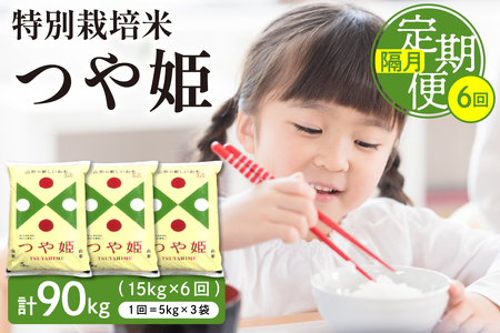 特別栽培米つや姫15kg×6回(隔月)深瀬商店提供 定期便 特A 精米 5kg×3袋 A-0774