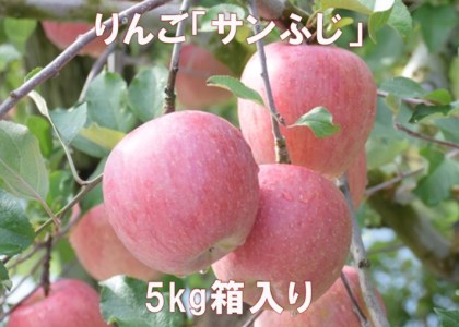 りんご「サンふじ」5kg 寄附金額：10,000円