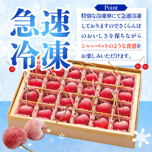 フローズンさくらんぼ「紅秀峰 特撰」2L玉24粒化粧箱入  hi004-hi029-012r  冷凍 冷凍フルーツ 冷凍さくらんぼ 急速冷凍 サクランボ フルーツ 果物 くだもの デザート シャーベット トッピング 送料無料 山形県 東根市