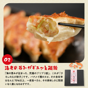 ひろしの餃子 満喫セット（もちチーズ餃子10個、特製餃子16個、えび餃子20個)  hi004-hi044-001r