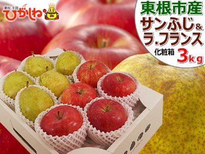 2022年「サンふじ&ラ・フランス」詰め合わせ3kg 東根農産センター提供(2022年11月中旬~12月中旬頃送付) K-2258