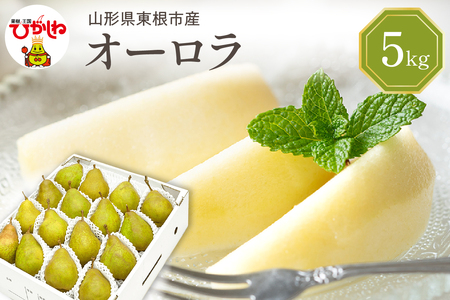 【2026年産】 西洋梨 オーロラ 5kg 秀品 化粧箱入り 山形県 東根市 東根農産センター提供 hi027-187-r8 （オーロラ 洋梨 洋ナシ フルーツ 果物 くだもの 産地直送 期間限定 特産品 お取り寄せ グルメ 旬 秋 東北 山形県 東根市 送料無料）