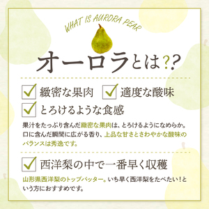 【2026年産】 西洋梨 オーロラ 5kg 秀品 化粧箱入り 山形県 東根市 東根農産センター提供 hi027-187-r8 （オーロラ 洋梨 洋ナシ フルーツ 果物 くだもの 産地直送 期間限定 特産品 お取り寄せ グルメ 旬 秋 東北 山形県 東根市 送料無料）