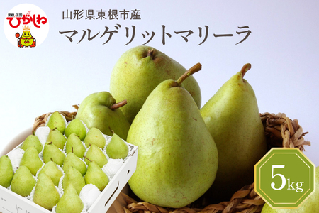 【2026年産】 西洋梨 マルゲリットマリーラ 5kg 秀品 化粧箱入り 山形県 東根市 東根農産センター提供 hi027-189-r8 （マルゲリットマリーラ 洋梨 洋ナシ フルーツ 果物 くだもの 産地直送 期間限定 特産品 お取り寄せ グルメ 旬 秋 東北 山形県 東根市 送料無料）