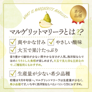 【2026年産】 西洋梨 マルゲリットマリーラ 5kg 秀品 化粧箱入り 山形県 東根市 東根農産センター提供 hi027-189-r8 （マルゲリットマリーラ 洋梨 洋ナシ フルーツ 果物 くだもの 産地直送 期間限定 特産品 お取り寄せ グルメ 旬 秋 東北 山形県 東根市 送料無料）