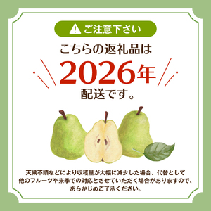 【2026年産先行予約】 フルーツの女王「ラ・フランス」 約5kg (14～18玉入) 山形県 東根市　hi026-060　ラフランス 洋梨 洋ナシ フルーツ 果物 くだもの 産地直送 期間限定 特産品 お取り寄せ グルメ 旬 東北 山形県 東根市 送料無料 ふるさと納税