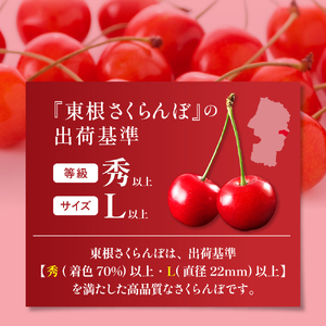 2025年GI東根さくらんぼ 紅秀峰 500gバラ詰め(2L) 東根農産センター提供　hi027-176-1 　山形県 東根市 果物 フルーツ サクランボ さくらんぼ 紅秀峰 ジーアイ くだもの バラ詰め 期間限定 冷蔵配送 先行予約 令和7年産 取り寄せ グルメ ご当地 特産直送 送料無料 ふるさと納税