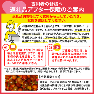 2025年GI東根さくらんぼ 紅秀峰 500gバラ詰め(2L) 東根農産センター提供　hi027-176-1 　山形県 東根市 果物 フルーツ サクランボ さくらんぼ 紅秀峰 ジーアイ くだもの バラ詰め 期間限定 冷蔵配送 先行予約 令和7年産 取り寄せ グルメ ご当地 特産直送 送料無料 ふるさと納税