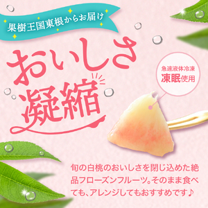 【8月以降発送】【瞬間冷凍】東根市産 カット済み白桃 100g×9袋入り 化粧箱【東根農産センター】　hi004-hi027-056r