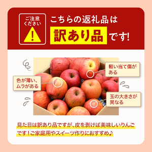 【令和6年産 先行予約】※訳あり※ サンふじ満杯詰(約4.5kg) 東根市 山形県 東根農産センター提供 hi027-132　( 2024年産 先行予約 先行受付 リンゴ 林檎 サンふじ 訳あり ご家庭用 傷あり キズあり アップル フルーツ 果物 くだもの クダモノ 秋 旬 お試し お取り寄せ 産地直送 ご当地 特産 グルメ 送料無料 東北 山形県 東根市 人気 ふるさと納税 )