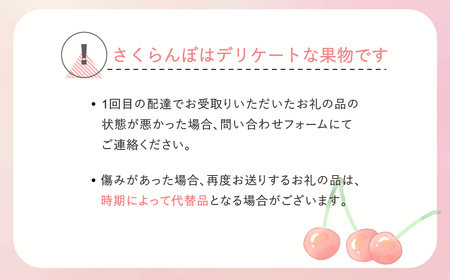 先行予約 加温 さくらんぼ 佐藤錦 特秀Lサイズ ダイヤパック 200g(100g×2)  令和8年産 ns-sntdp200