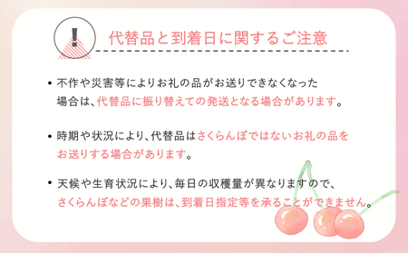 先行予約 加温 さくらんぼ 佐藤錦 特秀Lサイズ プレゼント ギフト