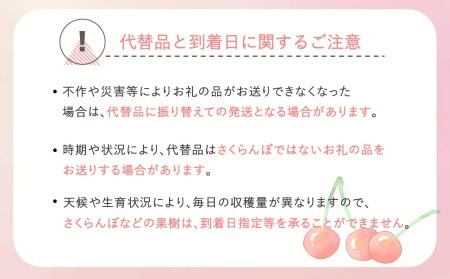 先行予約 加温 さくらんぼ 佐藤錦 特秀Mサイズ チョコ箱入 24粒 150g 令和8年産 ns-sntmc24