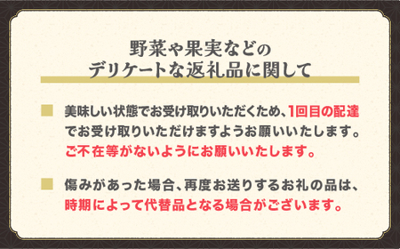 先行予約 白桃 和梨 詰め合わせ 秀品 品種おまかせ 化粧箱入り 計3kg 2026年産 令和8年産 もも なし梨 フルーツ 果物 セット アソート 山形県産 ※沖縄・離島への配送不可 ns-fshnx3