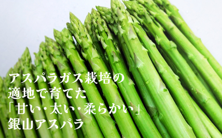 春採り 銀山アスパラガス Lサイズ 2kg 令和8年産 nk-vga1x2