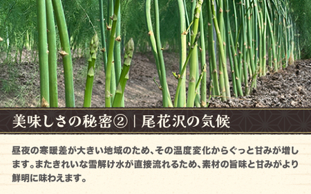 銀山アスパラガス 2Lサイズ(極太) 1kg 5月中旬~発送 令和7年産 2025年産 山形県産 尾花沢市産（アスパラ アスパラガス 銀山アスパラ グリーンアスパラガス 野菜 農家直送 山形県 山形 尾花沢市 尾花沢 nk-vga2x1）