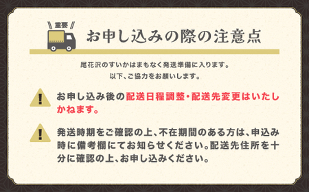 先行予約 尾花沢産すいか 3Lサイズ 約8kg×1玉 7月中旬～8月中旬頃発送 令和6年産 2024年産 農産加工 ※沖縄・離島への配送不可 nk-su3xx1