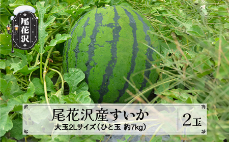 先行予約 尾花沢産すいか 2Lサイズ 約7kg×2玉 7月中旬～8月中旬頃発送 令和6年産 2024年産 農産加工 ※沖縄・離島への配送不可 nk-su2xx2