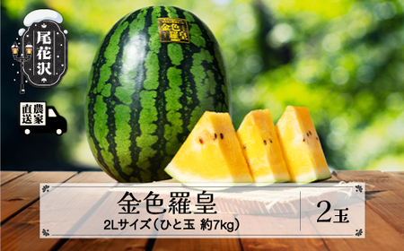 スイカえる 尾花沢産スイカ すいか 金色羅皇 2Lサイズ 約7kg×2玉 令和8年産 kb