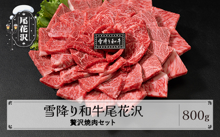 雪降り和牛尾花沢 焼肉セット ランプ・イチボ・カタ・ロース 800g 尾花沢牛肉まつり贅沢焼肉セット山形牛 国産牛 黒毛和牛 雪降り和牛 希少部位 肉 お肉 ブランド牛 食べ比べ 焼肉 焼き肉 冷凍 高級 贅沢 バーベキュー 送料無料 ja-yomyx800 10,950円