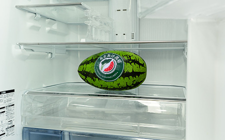 スイカ ペイズリーすいか 約4~5kg×1玉 令和8年産 an-supsx1