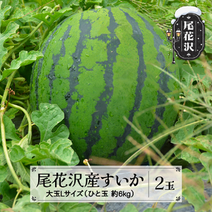 先行予約 尾花沢産すいか Lサイズ 約7kg×2玉 7月中旬～8月中旬頃発送 令和6年産 2024年産 農産加工 ※沖縄・離島への配送不可 nk-su1xx2                       (尾花沢 スイカ すいか 大玉すいか スイカ 令和6年産 スイカ 2024年産 スイカ スイカ 西瓜 夏すいか 尾花沢産スイカ 大玉スイカ 山形県産スイカ 大玉スイカ すいか 夏の大玉スイカ 尾花沢産すいか 2個入すいか 先行予約スイカ フルーツ すいか 果物 スイカ)