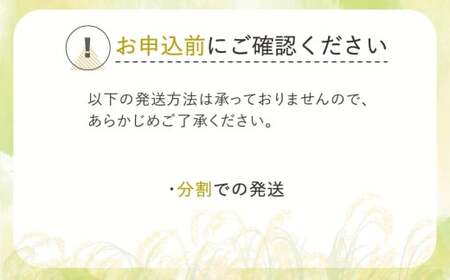 新米 令和6年産 はえぬき 玄米 30kg  2024年産 山形県産 尾花沢市産 米 お米 ja-hagxb30 ※沖縄・離島への配送不可